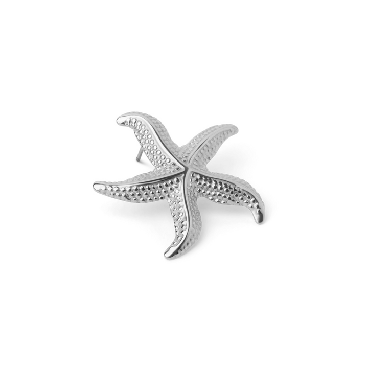 Audrey | Boucles d'oreilles en étoiles de mer courbées
