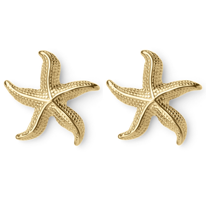 Audrey | Boucles d'oreilles en étoiles de mer courbées